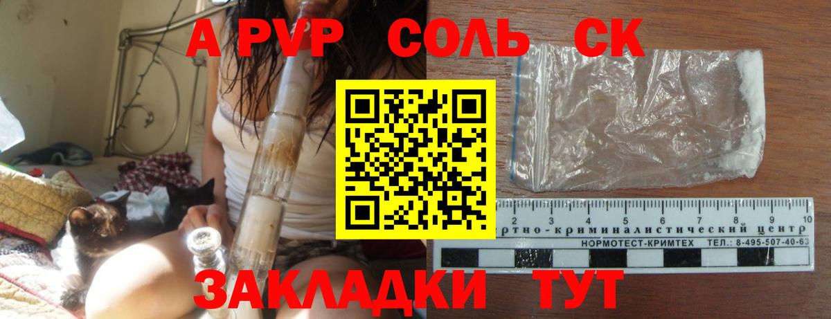 A-PVP СК Донской