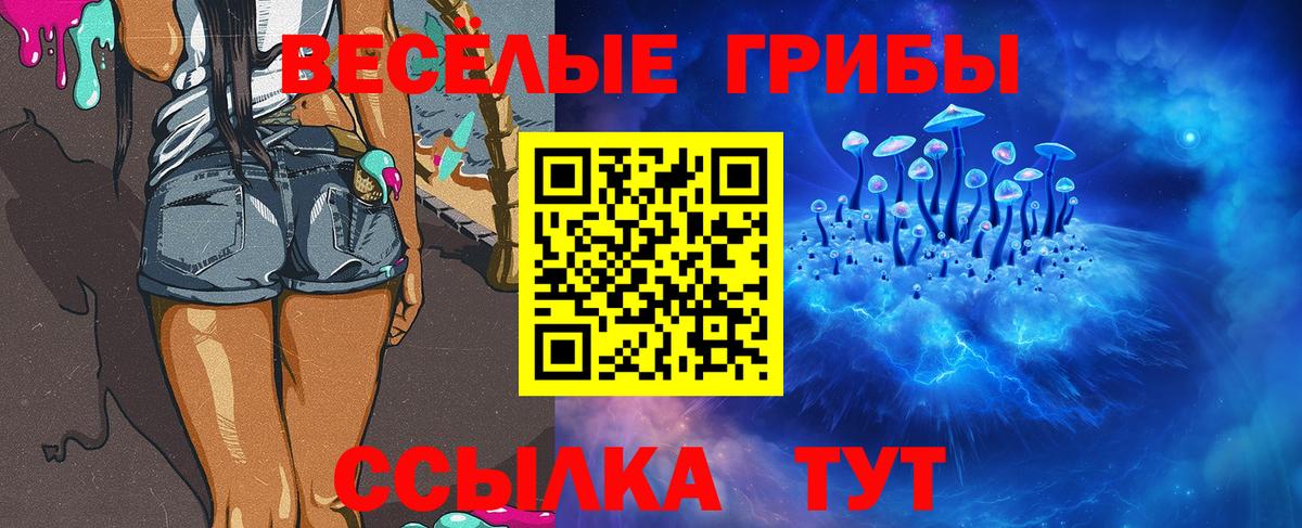 Псилоцибиновые грибы GOLDEN TEACHER  Псилоцибиновые грибы Psilocybine cubensis  Вход с VPN  Донской 